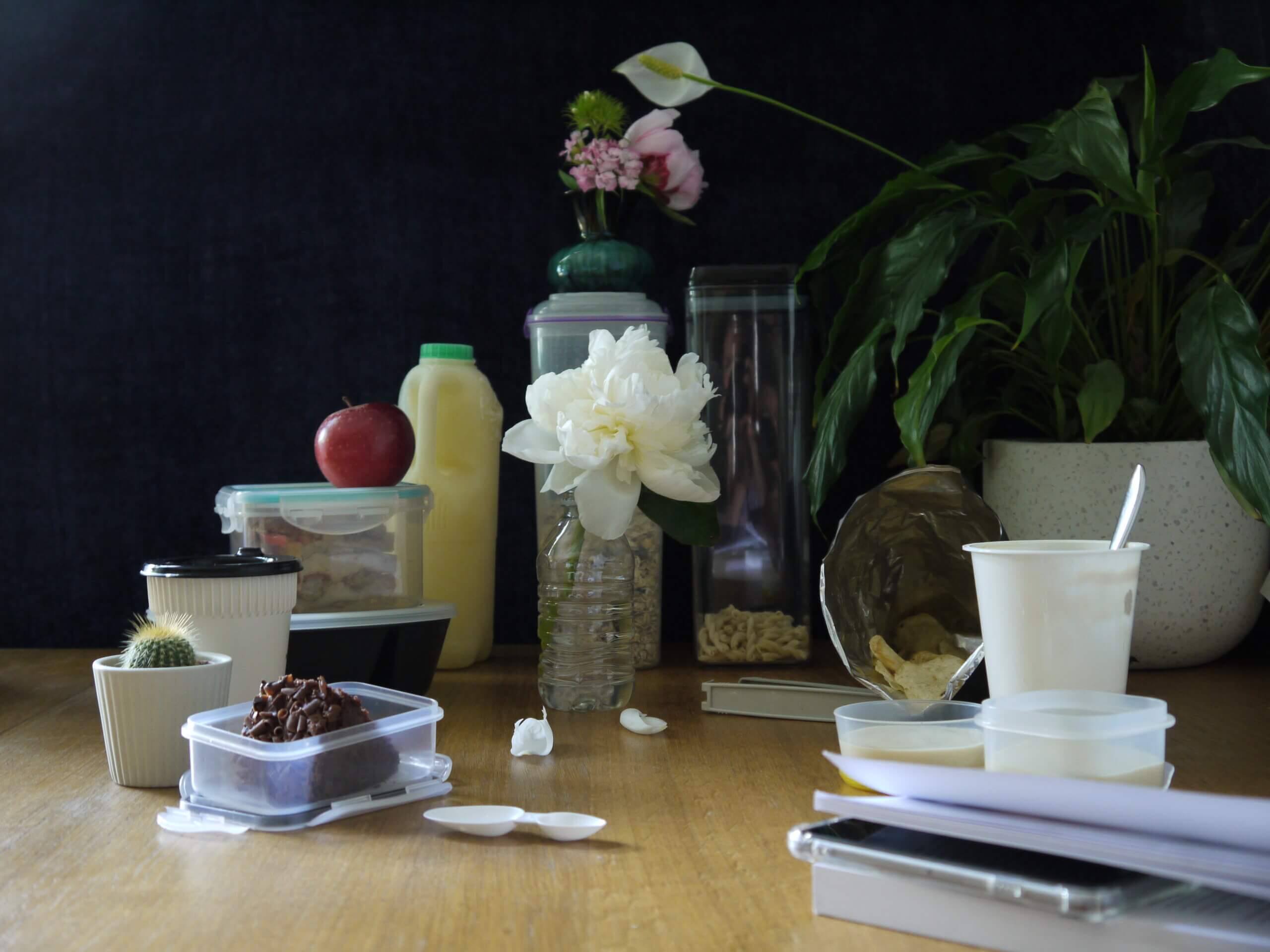 photo of various plastic bottles and tuperware