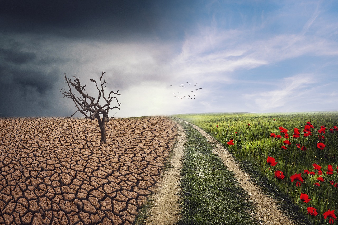 CATA: Climate Change and Waste Pickers