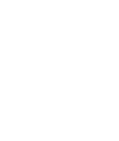 The University of Sheffield