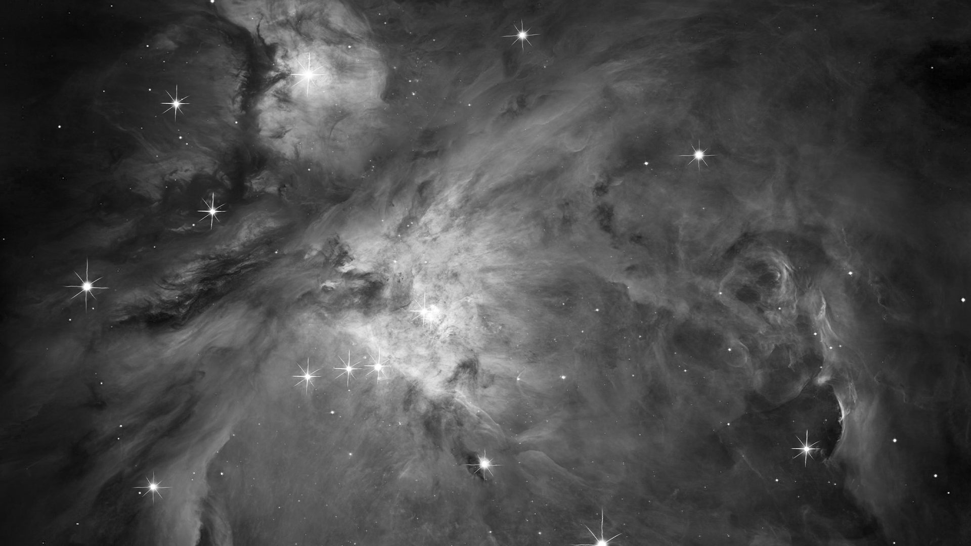 Orion: Animating a Stellar Nursery