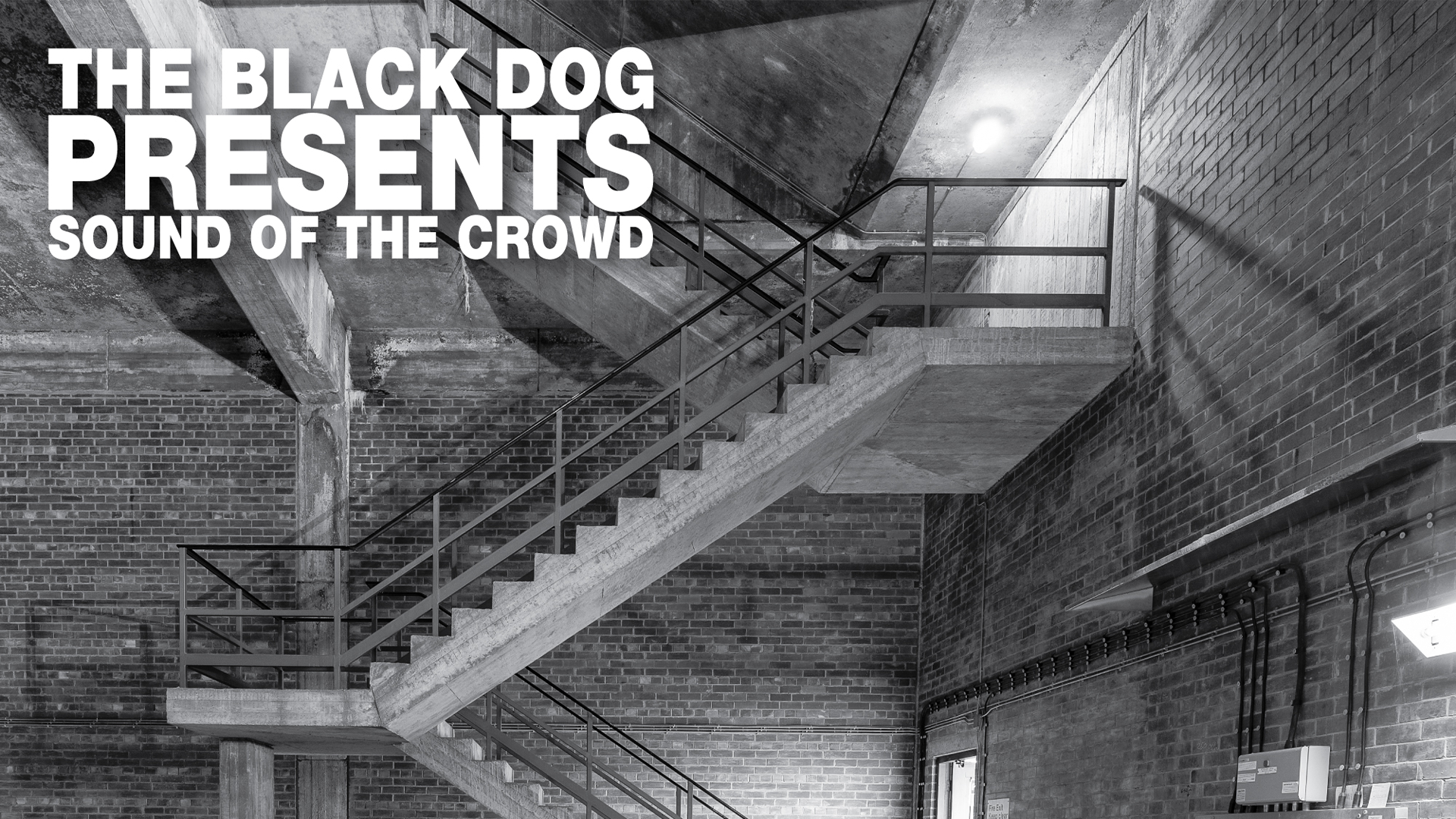 The Sound of the Crowd